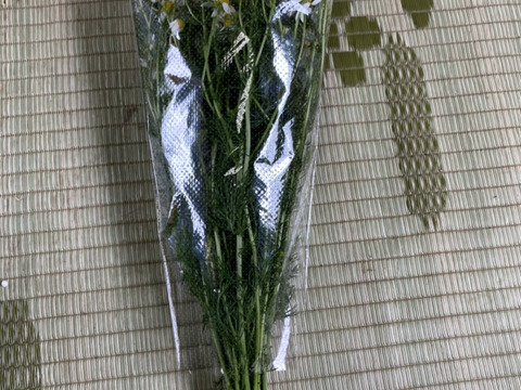なべくら高原産香り豊かなフレッシュカモミール 3束600g