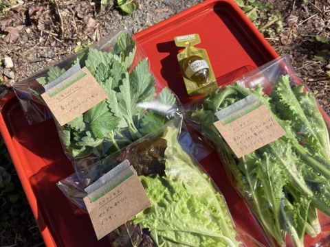 【ギフト】野菜ブーケかごタイプ【カラフルなミニ野菜】【お誕生日】【開店祝い】【周年祝い】【お供え】