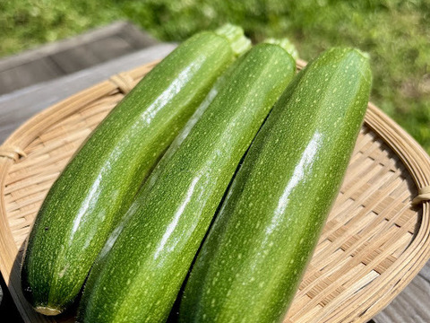 【千葉県産】有機ズッキーニ食べ比べセット１.5㎏～2kg入り