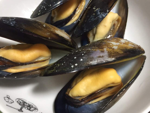 ザキヤマ水産のムール貝1kg 1 2人用 岩手県産 食べチョク 農家 漁師の産直ネット通販 旬の食材を生産者直送