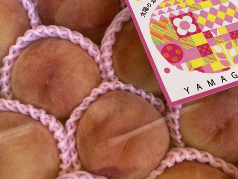 白桃の王様‼️山形産川中島白桃【3キロ13玉】