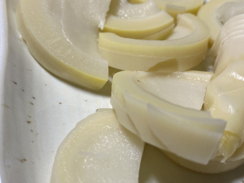 破竹たけのこ10kg収穫後予冷発送！