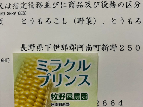 南信州高原あま〜い！とうもろこし白3黄色3計6本　朝つみ！