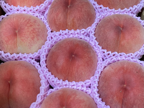 🍑あかつき🍑3キロ箱(8玉〜12玉)化粧箱