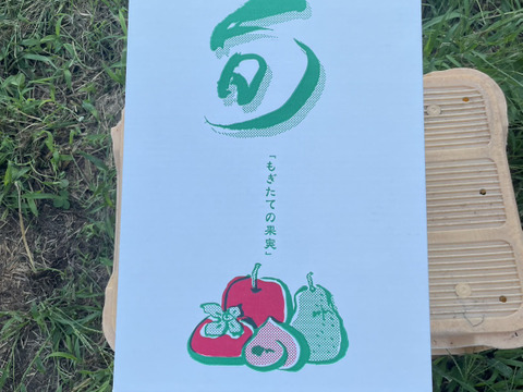 ★パリパリ食感★シャインマスカット★（４５０ｇ～５００ｇ）★自家製りんごジュース５００ｍｌ詰め合わせセット