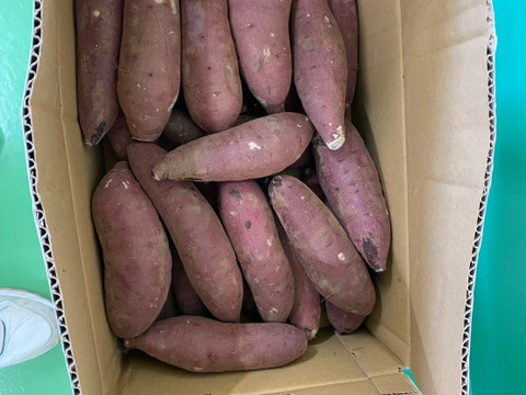 Lサイズ紅はるか（5kg）熟成１ヵ月超え！(茨城県産)(サツマイモ)(土付き)