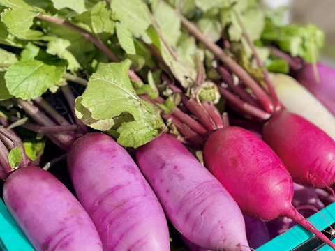 詰め合わせ！小さめ有機人参1㎏3袋＆カラフル大根カブ3種600g