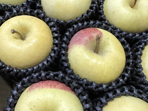 圧倒的存在感!超絶希少りんご「白ふじ」約3kg箱 8〜10玉:青森県産の 圧倒的存在感!超絶希少りんご「白ふじ」約3kg箱 8〜10玉:青森県産の