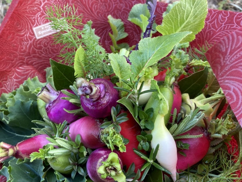 【ギフト】野菜ブーケ【カラフルなミニ野菜】ファーマーズヤード【お誕生日】【開店祝い】【周年祝い】【お供え】