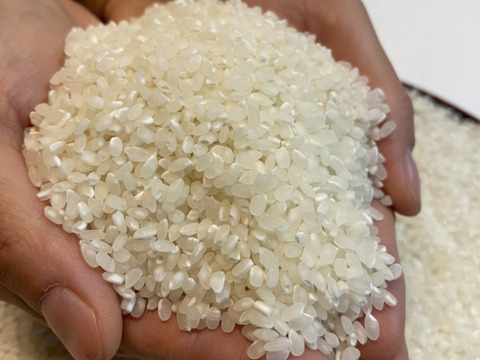 新米5キロと採りたて野菜5品セット（本州の方限定）