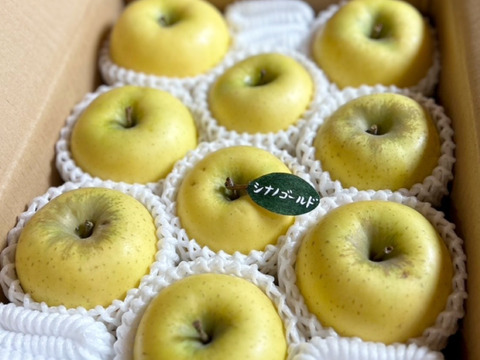 シナノゴールド約3キロ箱(家庭用)8〜11玉⭐️ ID184671  甘酸っぱい りんご