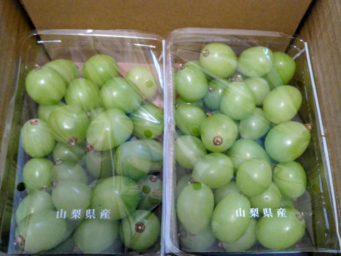 お買い得⭐︎シャインマスカット⭐︎粒で約1kg