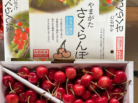 2026年予約販売　山形県産さくらんぼ　佐藤錦　1kg バラ詰め