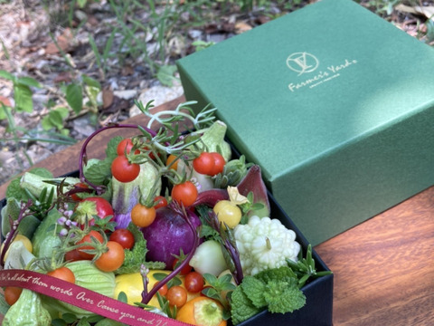 【秋ギフト】野菜ブーケ BOXタイプ【カラフルなミニ野菜】【お誕生日】【開店祝い】【周年祝い】【お供え】