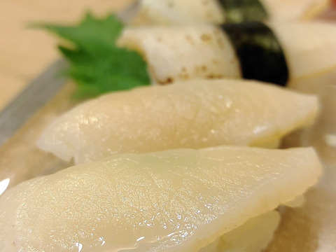 日間賀島産:三河湾，伊勢湾【島漁師おまかせ貝BOX】小