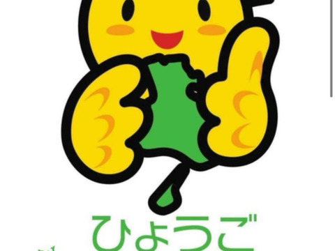 【4月末日まで】農家直送!! 淡路島産ブランド新玉ねぎ 『にじたま』極早生 SMサイズ 3kgダンボール入り（ご家庭用・20個前後）秀品