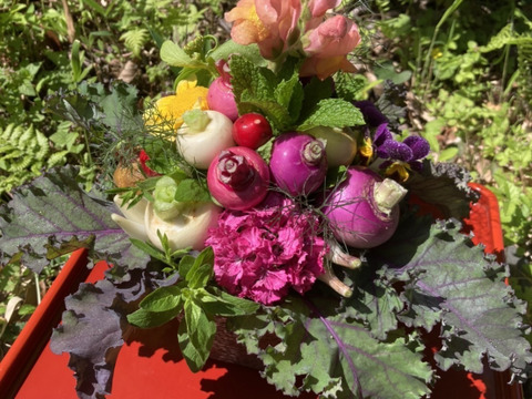 【母の日ギフト】野菜ブーケかごタイプ【メッセージカード付き】【カラフルなミニ野菜】【4/26(土)～5/18(日)お届け】