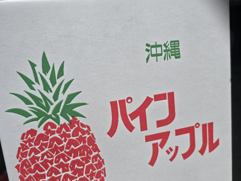 甘さ際立つ！沖縄県産『サンドルチェ』🍍　1玉　1.3kg～