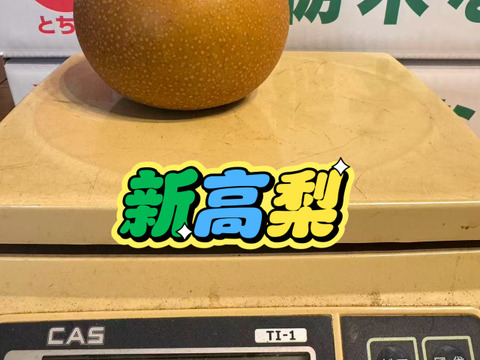 新高梨 あきづき梨 食べ比べセット 栃木産　3キロ(5-6個)