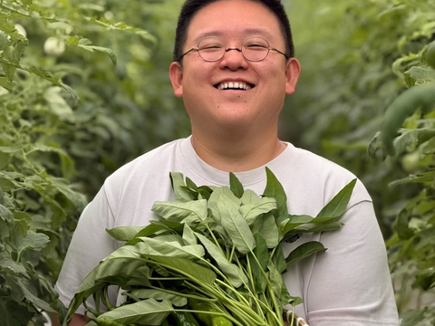 野菜セット新登場！💎 【Sセット（5〜6品）】日常を極上にする、厳選
