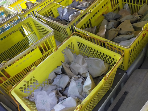 房州びわ（房州枇杷の中心地富浦産・露地）【人気の品種・田中】3.0kg