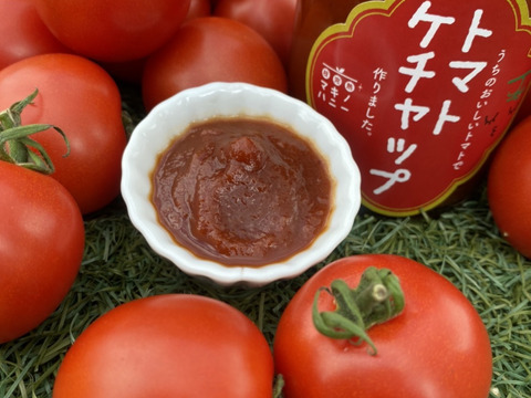 完熟とまと「贅沢ごちそう瓶詰めセット」濃厚ケチャップ＆プレミアムパスタソース