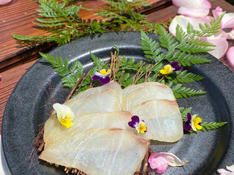 【夏ギフト】桜のチップで燻製！完全無添加で美味しい！【カマ5種 詰合せ】真鯛の生ハムと熱燻製『真鯛をサクラで包んでみました』