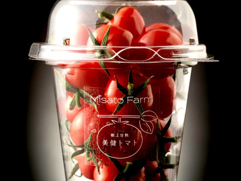 【金賞受賞】希少品種「プチぷよ」1箱40粒セット