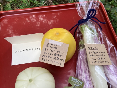 【秋ギフト】野菜ブーケ BOXタイプ【カラフルなミニ野菜】【お誕生日】【開店祝い】【周年祝い】【お供え】