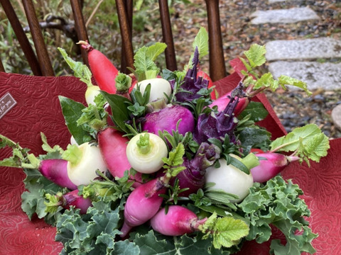 【ギフト】野菜ブーケ【カラフルなミニ野菜】ファーマーズヤード【お誕生日】【開店祝い】【周年祝い】【お供え】