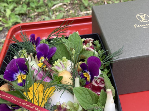 【父の日ギフト】野菜ブーケ BOXタイプ【メッセージカード付き】【カラフルなミニ野菜】【6/1(日)～6/22(日)お届け】