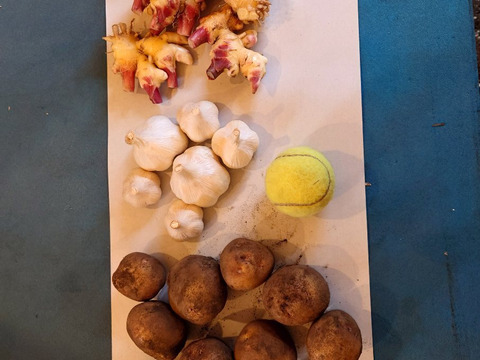 【ちょっと訳有❗】野菜セット（ジャガイモ、にんにく、新生姜）
大きさ色々　60サイズ　1.8㎏