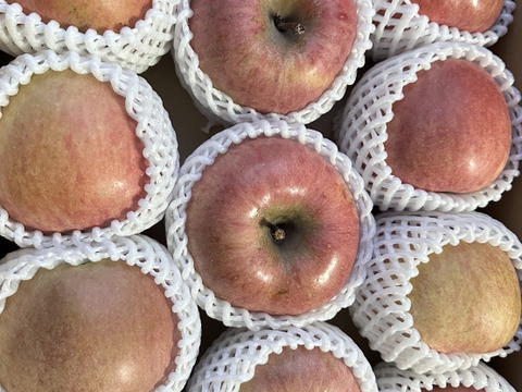 スーパーヘビー級りんご「美丘」約5k箱 「青林」約3kg箱　同梱！