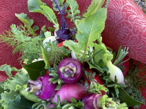 【ギフト】野菜ブーケ【カラフルなミニ野菜】ファーマーズヤード【お誕生日】【開店祝い】【周年祝い】【お供え】