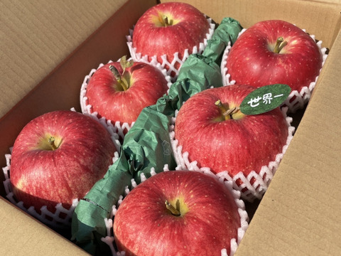 🍎希少品種🍎世界一3キロ 6～7玉入り 青森りんご