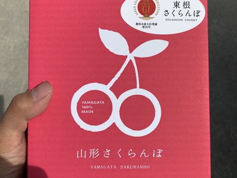 【訳あり】ご家庭用‼︎数量限定‼︎コスパ抜群‼︎500g‼︎お買い得‼︎東根産佐藤錦