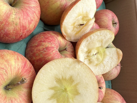 [数量限定出品]甘い！濃い！「葉取らずサンフジ」約5kg箱　12〜18玉