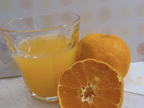 鹿児島県産「ポンカンと小みかんのセット」箱込み2kg