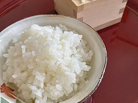 【令和6年度産・９袋限定‼︎】♣️一度食べてみてほしいお米　麻奈為🌾京都・京丹後峰山産　特別栽培米ミルキークイーン10㎏
