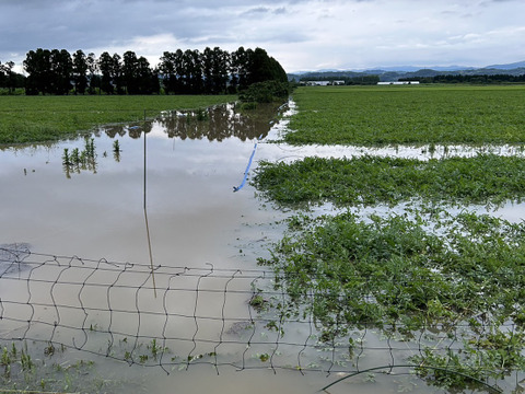 【1口5000円版】令和5年7月大雨による浸水害　被災生産者応援チケット （※商品の発送はありません）