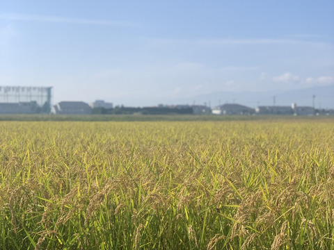 【有機JAS取得】やめのおおきみ（風さやか）玄米５㎏　農薬完全不使用・有機肥料で栽培