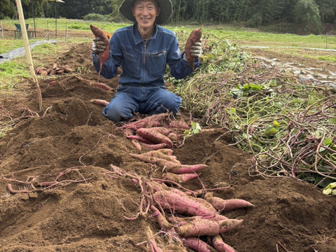 【希少さつまいも】しっとりあまはづき！ホクホク栗かぐや　食べ比べ（3～４種）