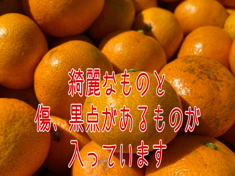 訳あり‼️大特価‼️
温州みかん　5キロ1700円‼️