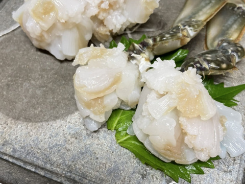漁師直送　日間賀島産ワタリガニ雌‼︎間違い無しの目利き　2杯で【1kg UP 】 採れたら即，浜茹で発送‼︎ケジャン用冷凍も可