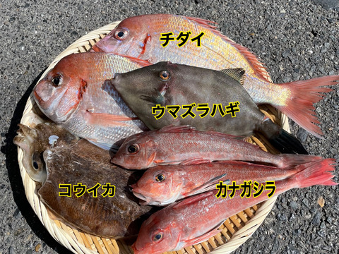 【数量限定】瀬戸内の鮮魚 2kg詰め合わせ！(80サイズ)