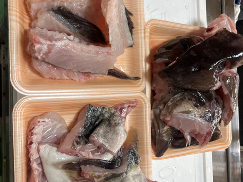 【今が旬！数量限定】　タラのあら汁用あら　(頭、カマ、ハラス)　約2ｋｇ