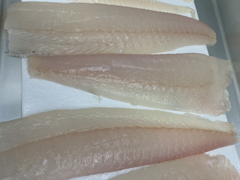 お手軽簡単♪流水解凍5分で食べ比べ(^^)
刺身❗️漬け❗️昆布〆❗️こだわり漁師が作る『ひらめざんまい』