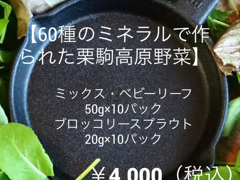 有機ミックスベビーリーフ 5種類 50g 10袋 ブロッコリースプラウトg 10袋 宮城県産 食べチョク 農家 漁師の産直ネット通販 旬の食材を生産者直送