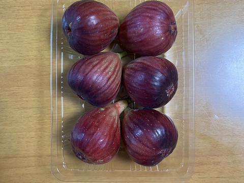 片桐いちじく（イチジク）　露地栽培　予約販売　順次配送