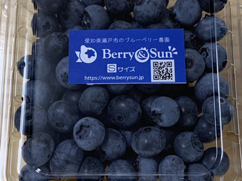 ちびピー様用生ブルーベリー4kg クール冷蔵送料込 6353cf1d5419824a5a4294fb5e3050